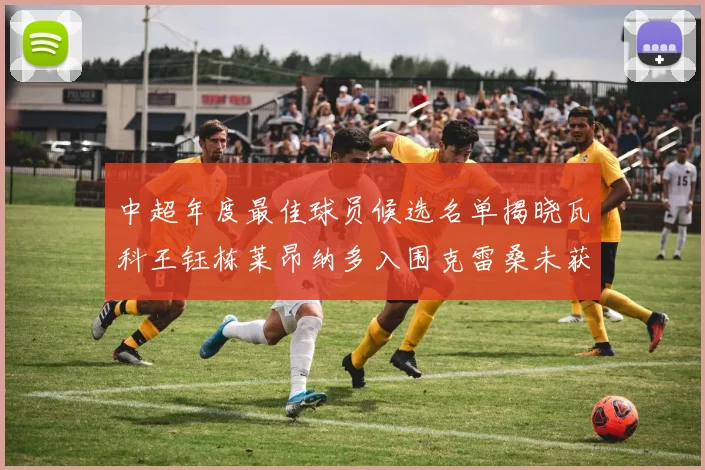 中超年度最佳球员候选名单揭晓瓦科王钰栋莱昂纳多入围克雷桑未获提名