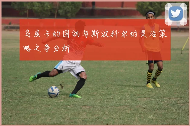 乌度卡的固执与斯波科尔的灵活策略之争分析